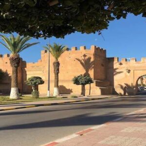 Private Taroudant "Little Marrakech" & Tiout Oasis Day Trip